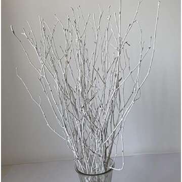Decorative Birch Branches Decoration, 23 Inch Birch Stems for Wedding Decor,Dried Twigs for Christma...