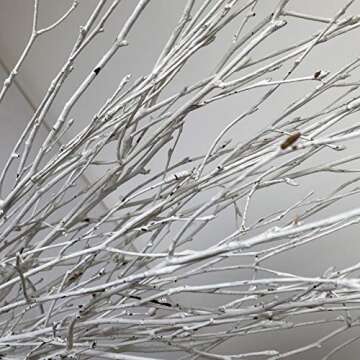 Decorative Birch Branches Decoration, 23 Inch Birch Stems for Wedding Decor,Dried Twigs for Christmas Decor (White)