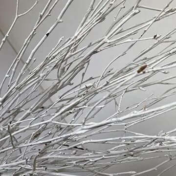 Decorative Birch Branches Decoration, 23 Inch Birch Stems for Wedding Decor,Dried Twigs for Christmas Decor (White)