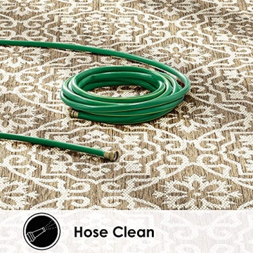 Nicole Miller New York Patio Country Danica Transitional Geometric Indoor/Outdoor Area Rug, Brown/Beige, 7'9"x10'2"