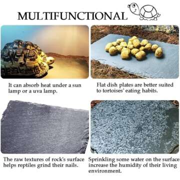 kathson Reptile Basking Platform (7.9 x 11.8 inches), Natural Rock Plate Turtle Food Bowl Feeding Di...