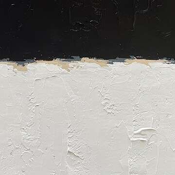 NANKAI Hand-Painted Black and White Wall Art for Modern Homes