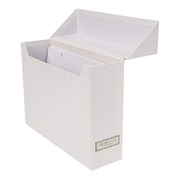 Bigso Lovisa File Storage Box - Elegant Document Organizer