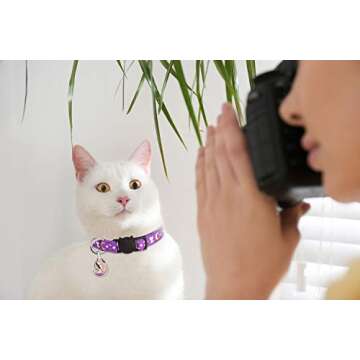 Uteuvili 2 Pack Breakaway Cat Collar with Bell Gold Moons and Stars Safety Collar Kitten Collar with Charm(Black+Purple)