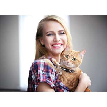 Uteuvili 2 Pack Breakaway Cat Collar with Bell Gold Moons and Stars Safety Collar Kitten Collar with Charm(Black+Purple)