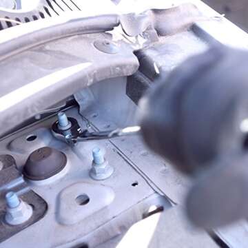 Neiko 03114A Flex-Head Double Box End Ratcheting Wrenches, Chrome Vanadium Steel | Extra Long Design | 5-Piece Set | Metric 8mm - 19mm