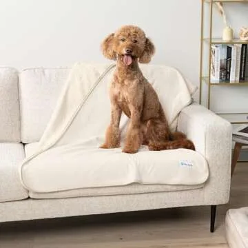 PetAmi Waterproof Dog Blanket for Small Medium Dogs, Pee Proof Pet Blanket for Couch Bed, Reversible Water Proof Blanket for Puppy Indoor Cat, Soft Dog Fleece Blankets Washable, 29x40 Beige