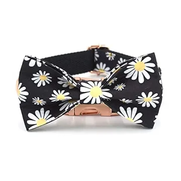 Stylish PETDURO Personalized Dog Collar for Your Furry Friend