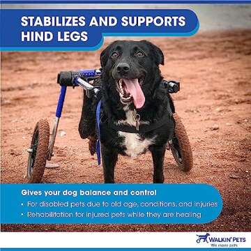 Walkin' Wheels Dog Wheelchair for Medium to Large Dogs
