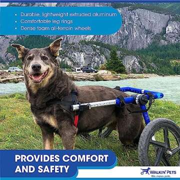 Walkin' Wheels Dog Wheelchair for Medium to Large Dogs