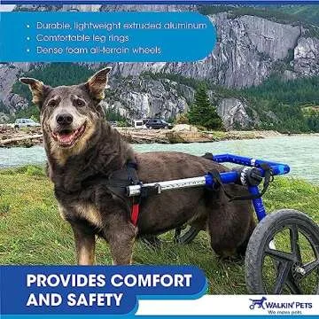 Walkin' Wheels Dog Wheelchair for Medium to Large Dogs