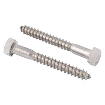 5/16 x 2-1/2 Heavy Duty Stainless Lag Bolts - 25-Pack, Commercial Grade