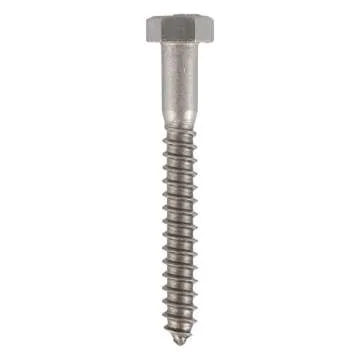 5/16 x 2-1/2 Stainless Lag Bolt - 25-Pack Heavy Duty