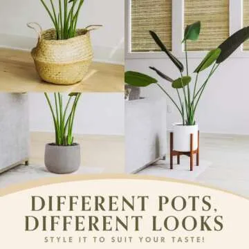 FOREVER LEAF 5 Feet Bird of Paradise Artificial Plant, Includes Black Planter, Realistic Banana Shaped Leaves, Large Faux Floor Plants for Living Room, Perfect Silk Plants for Home Decor Indoor