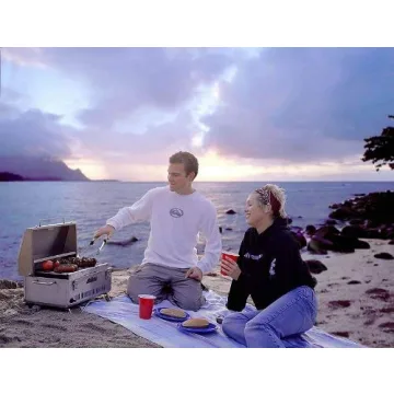 Solaire SOL-EV17A Portable Infrared Propane Gas Grill Stainless Steel