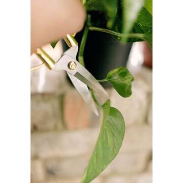 Premium Houseplant Scissors for Easy Plant Maintenance
