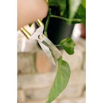 Premium Houseplant Scissors for Easy Plant Maintenance