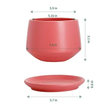 POTEY 5.9" Matte Coral Ceramic Plant Pot with Drainage Hole