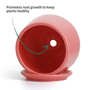 POTEY 5.9" Matte Coral Ceramic Plant Pot with Drainage Hole