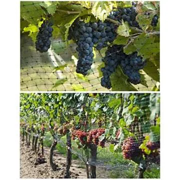 Unves Bird Netting, 13x33 Feet Heavy Duty for Gardens