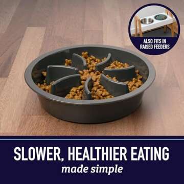 Leash Boss Slow Feeder Bowl for Healthy Dog Eating