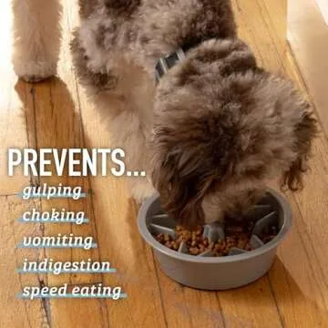 Leash Boss Slow Feeder Bowl for Healthy Dog Eating