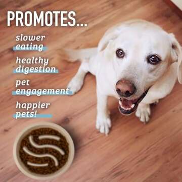 Leash Boss Slow Feeder Bowl for Healthy Dog Eating
