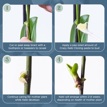 Keiki Cloning Paste for Orchids & Houseplants - 0.25oz Miracle