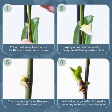 Keiki Cloning Paste for Orchids & Houseplants - 0.25oz Miracle