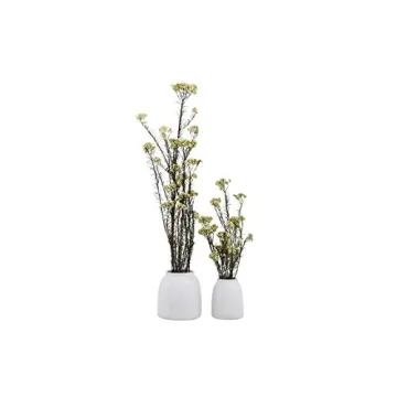 Creative Co-Op White Terracotta Vases for Stylish Decor