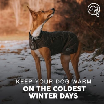 Embark Pets Wax Dog Jacket - Cozy and Stylish for Winter