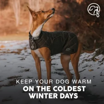Embark Pets Wax Dog Jacket - Cozy and Stylish for Winter