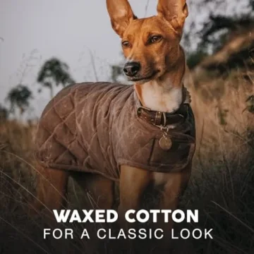 Embark Pets Wax Dog Jacket - Cozy and Stylish for Winter