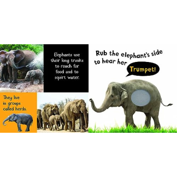 Noisy Animals Interactive Book with Six Sounds for Toddlers