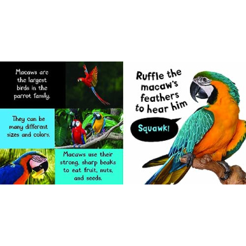 Noisy Animals Interactive Book with Six Sounds for Toddlers