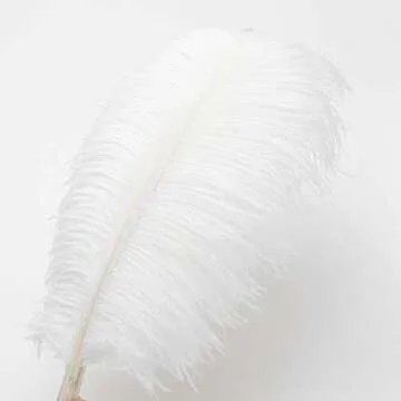 24pcs Natural White Ostrich Feathers 10-12inch (25-30cm) for Wedding Party Centerpieces，Flower Arrangement and Home Decoration.