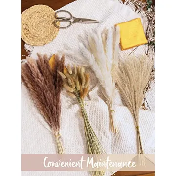 Pampas Grass Bouquets for Boho Home Decor