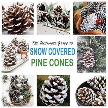 Christmas Natural Pine Cones Set, 21 PCS Rustic Pinecones for Christmas tree Ornaments/ Christmas Wreath Making, Winter Farmhouse Christmas Garland Decoration DIY Crafts, Thanksgiving Home Decor(snow)