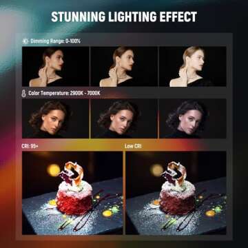 NEEWER LED Softbox Lighting Kit with 2.4G Remote, 2 Pack 48W Bi Color Continuous Photography Light 2900K-7000K, Color Filters/Stands/NP-F Battery Holder for Outdoor Video Recording, NW48 II