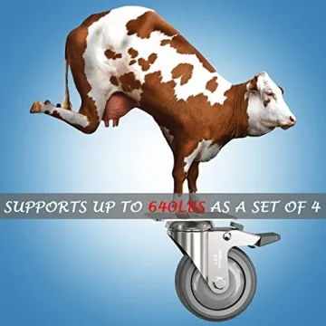 Heavy Duty 3" Caster Wheels Set with Dual Locking Feature