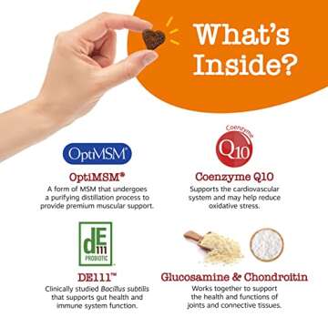 Zesty Paws Multivitamin Treats for Dogs - Glucosamine Chondroitin for Joint Support + Digestive Enzymes & Probiotics - Grain Free Dog Vitamin for Skin & Coat + Immune Health - AE - 90 Count