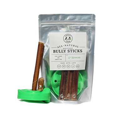 SafetyChew Bully Stick Holder | Secure Chewing Solution for Dogs