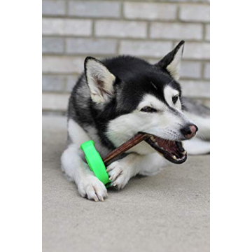 SafetyChew Bully Stick Holder for Safe Chewing