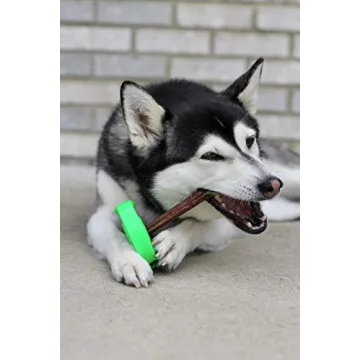 SafetyChew Bully Stick Holder for Safe Chewing