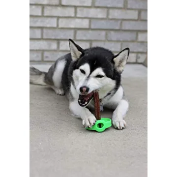 SafetyChew Bully Stick Holder for Safe Chewing