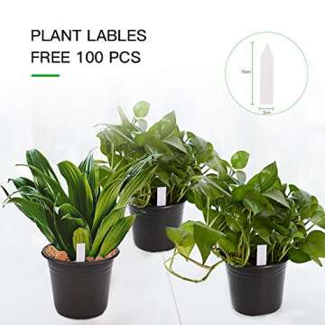 JERIA 100-Pack 0.5 Gallon Plant Nursery Pots, Plastic Pots for Flower Seedling, Flower Plant Container Seed Starting Pot, Come with 100 Pcs Plant Labels(Black)