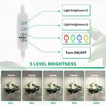 GYTF Halo Plant Grow Light for Indoor Plants with Timer