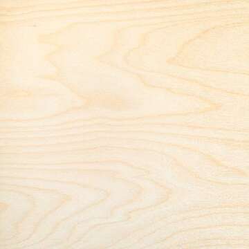 3mm 1/8" x 12" x 20" B/BB Baltic Birch Plywood (60pcs) - Perfect for Arts & Crafts, School & DIY Projects, Drawing, Painting, Wood Engraving, Burning & Laser Projects - Cherokee Wood Products