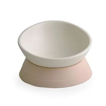 iBard Dual Purpose Slanted Dog Cat Food Bowl - Mess-Free Dining for Small Breeds