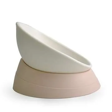 iBard Slanted Dog Cat Food Bowl for Mess-Free Feeding